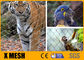 ASTM Standart 60 Derece Kablo Tel Örgü X Eğilim Hayvanat Bahçesi Muhafaza Örgüsü